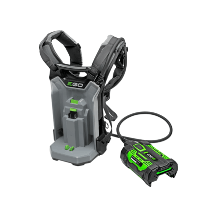 BH1001